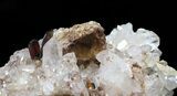 Brookite Crystals with Quartz on Matrix - Pakistan #38654-2